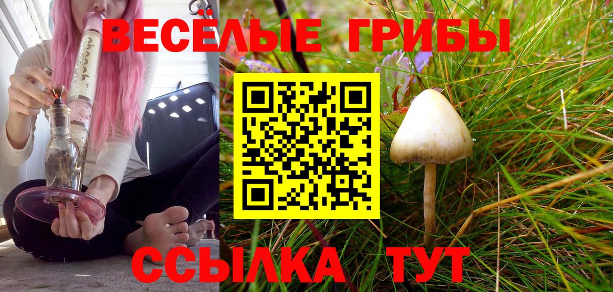Галлюциногенные грибы мухоморы Лыткарино